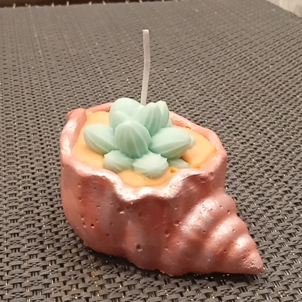Frosted Peach Concrete Seashell Candle